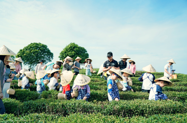 惠州親子一日遊優惠8起！體驗擠牛奶/餵小牛/參觀可樂廠/採茶 包午餐+限時送遊戲券 
