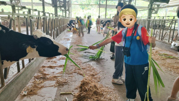 惠州親子一日遊優惠8起！體驗擠牛奶/餵小牛/參觀可樂廠/採茶 包午餐+限時送遊戲券 