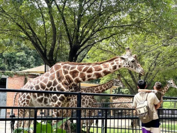 廣州親子三天團限時58折！廣州動物園/熱雪奇跡/融創大馬戲 包交通住宿、門票餐飲7起 