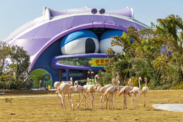 清遠長隆2天團限時優惠|暢玩全新森林王國!低至9連門票/船飛/酒店/美食