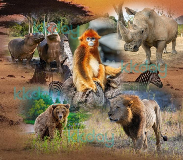 清遠長隆2天團限時優惠|暢玩全新森林王國!低至9連門票/船飛/酒店/美食