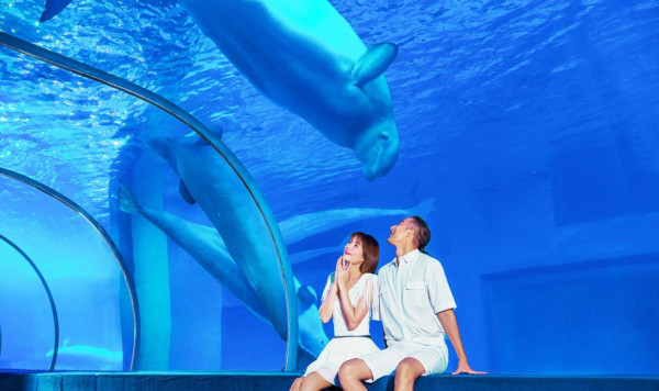 佛山廣州純玩三天團限時7折|9包盈香心動樂園/極地海洋世界/企鵝冰雪世界門票/2晚酒店/餐飲