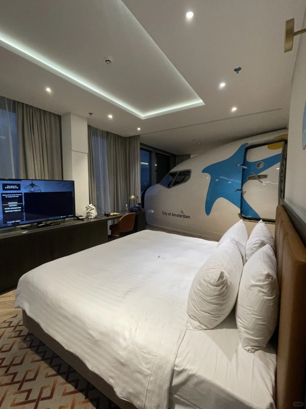 旅客分享飛機主題酒店房 配套完善 僅需這價錢一晚震驚網民 
