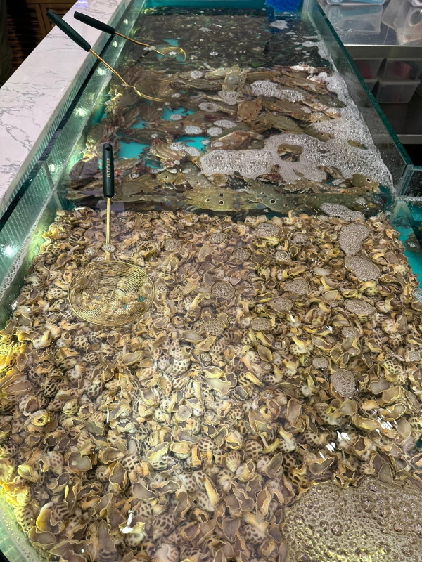 2025新店熱潮｜盤點全港逾30間餐廳/品牌！韓國潮牌Matin Kim/千海水產/壽司郎新分店