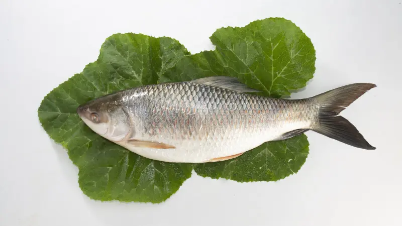 粉葛湯食譜功效