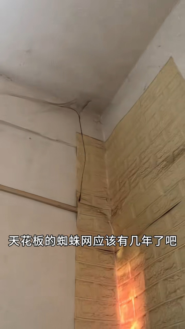 內地客遊港乘快艇指似難民逃生 呻價格貴體驗差 無求生用具:靠祖宗保佑