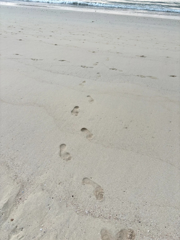 內地客遊港呻物價誇張震驚消費觀 的士跳錶快/餐飲性價比低/一千蚊晚酒店