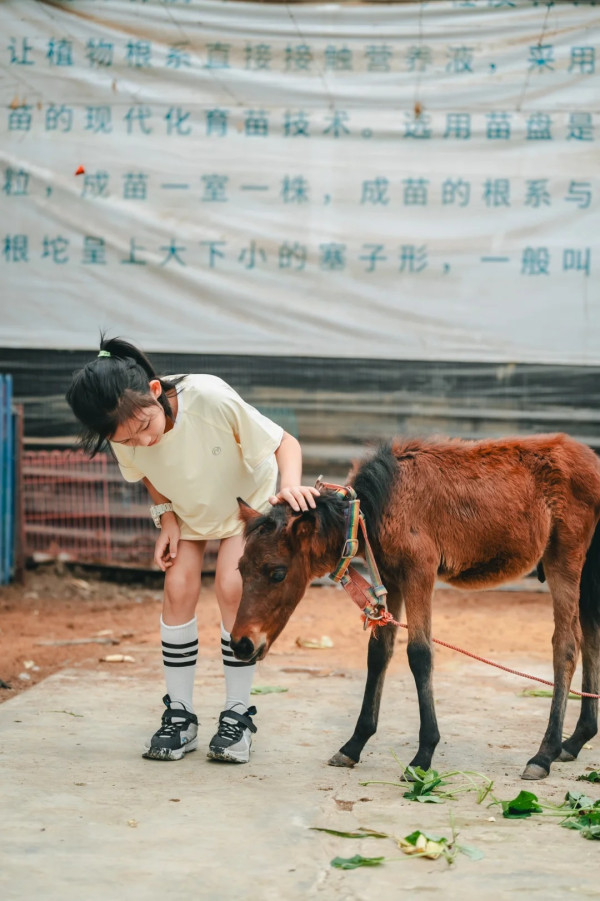 阿莎姨蘑菇農場（圖片來源﹕小紅書＠阿莎姨蘑菇農場）