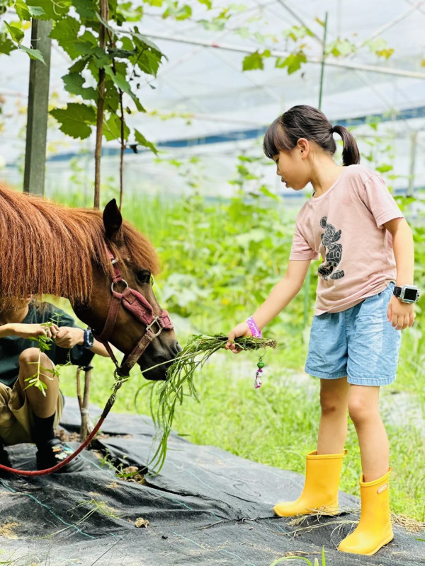 阿莎姨蘑菇農場（圖片來源﹕小紅書＠阿莎姨蘑菇農場）