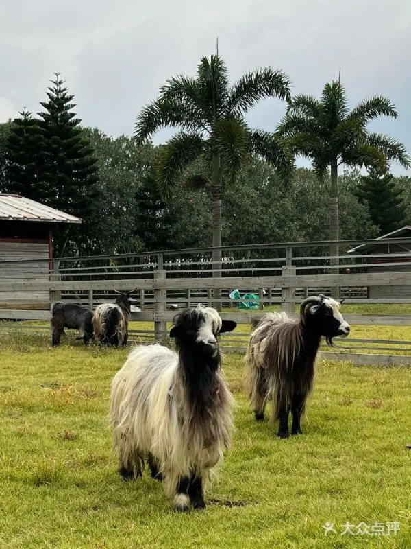 珠海田園部落(圖片來源:大眾點評) 珠海田園部落(圖片來源:大眾點評)