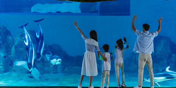 長隆飛船樂園(圖片來源:長隆飛船樂園) 長隆飛船樂園(圖片來源:長隆飛船樂園)