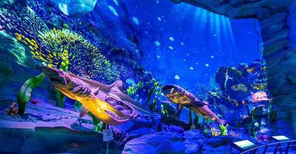 長隆飛船樂園(圖片來源:長隆飛船樂園) 長隆飛船樂園(圖片來源:長隆飛船樂園)