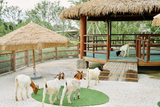 海泉灣萌寵樂園(圖片來源:珠海海泉灣度假區微信公眾號) 海泉灣萌寵樂園(圖片來源:珠海海泉灣度假區微信公眾號)