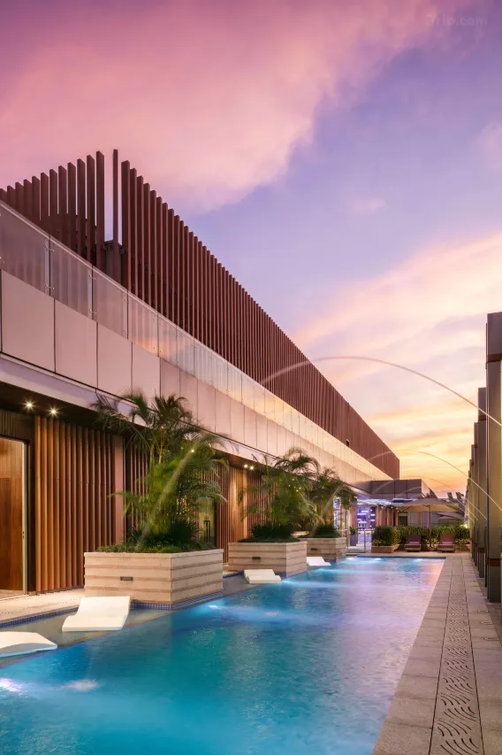 深圳陶陶居飲茶10間分店地址一覽！必試蝦餃、榴蓮酥、冰鎮咕嚕肉 