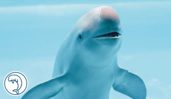 【福岡自由行2026】福岡有咩好玩點玩睇呢篇！福岡景點市內近郊好去處+交通住宿 