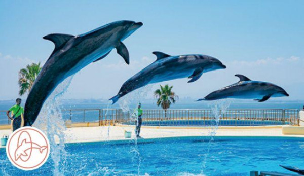 【福岡自由行2026】福岡有咩好玩點玩睇呢篇！福岡景點市內近郊好去處+交通住宿 