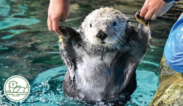 【福岡自由行2026】福岡有咩好玩點玩睇呢篇！福岡景點市內近郊好去處+交通住宿 