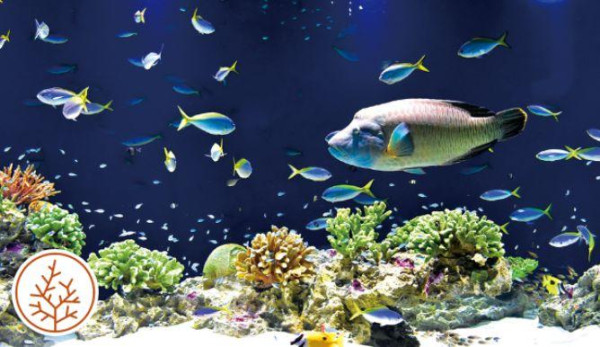 【福岡自由行2026】福岡有咩好玩點玩睇呢篇！福岡景點市內近郊好去處+交通住宿 