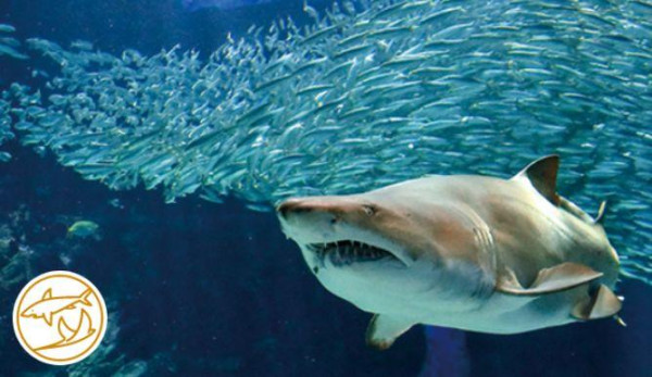 【福岡自由行2026】福岡有咩好玩點玩睇呢篇！福岡景點市內近郊好去處+交通住宿 