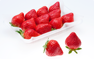 【福岡自由行2026】福岡有咩好玩點玩睇呢篇！福岡景點市內近郊好去處+交通住宿 