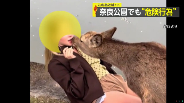 內地客呻日本冇垃圾桶 無奈以一辦法解決 網民：城市規劃有問題 