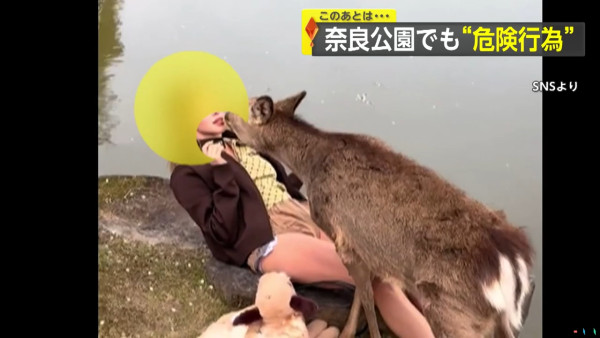 內地客呻日本冇垃圾桶 無奈以一辦法解決 網民：城市規劃有問題 