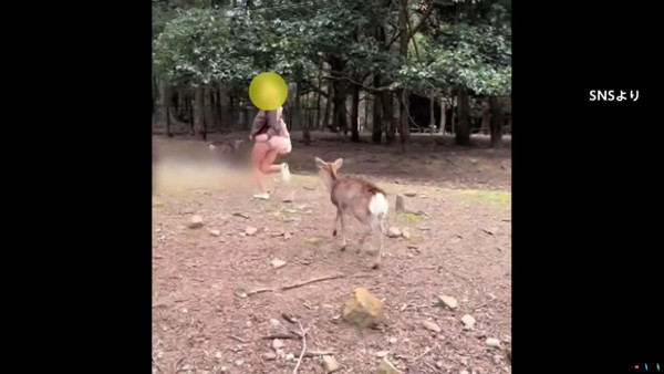 內地客呻日本冇垃圾桶 無奈以一辦法解決 網民：城市規劃有問題 