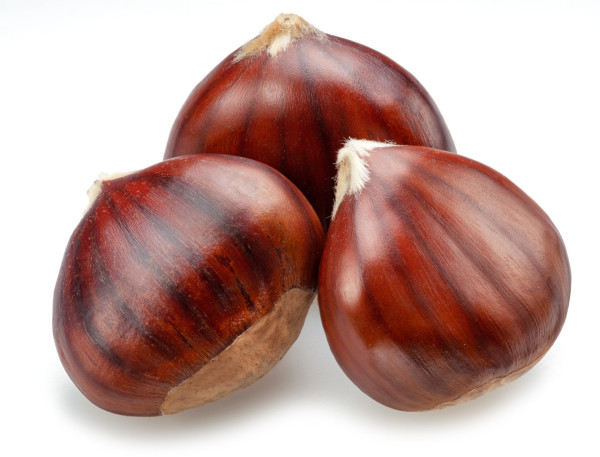 栗子湯食譜推介