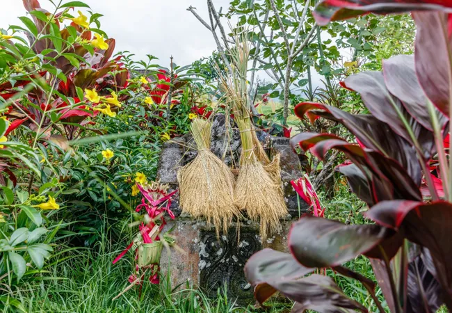 今年4月開始峇里禁女性經期進入寺廟 指會污染宗教場所 甚至連累周邊居民