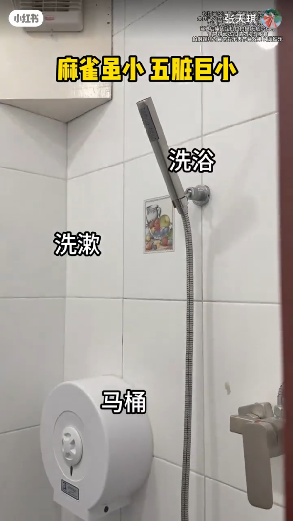 內地博主以4字形容遊港感受 列2經歷稱被港人激親：哪來的優越感 