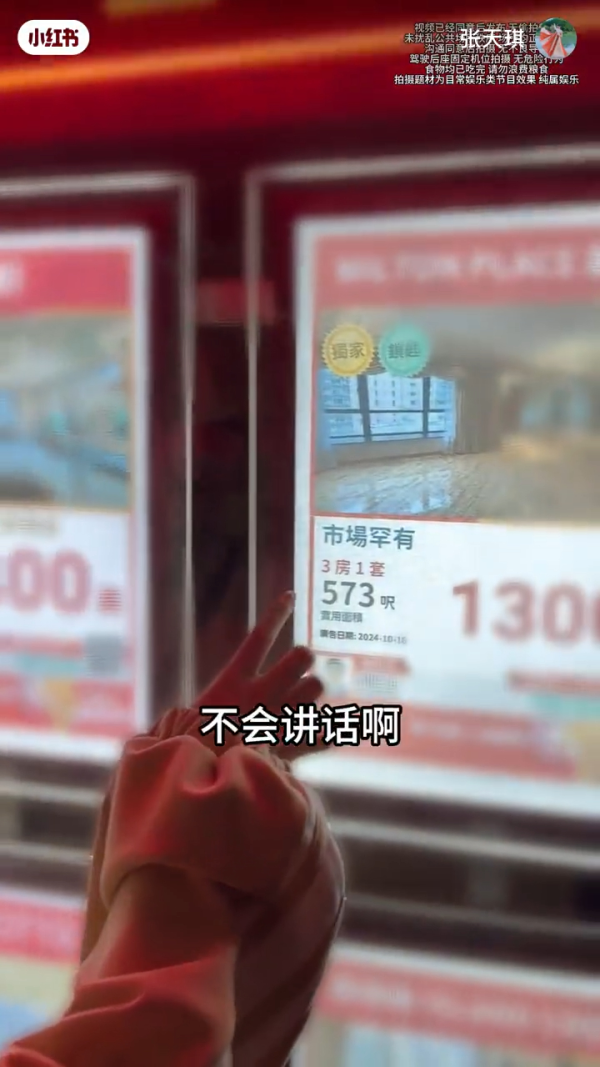 內地博主以4字形容遊港感受 列2經歷稱被港人激親：哪來的優越感 