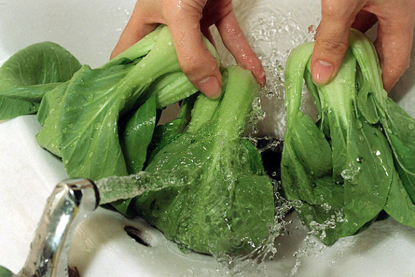 營養師建議6種深綠色蔬菜最值得吃！抗老防骨疏鬆或乳癌每天吃多少？