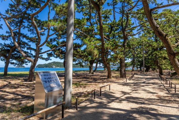 津田松原(圖片來源:瀨戶內國際藝術祭官網) 津田松原(圖片來源:瀨戶內國際藝術祭官網)
