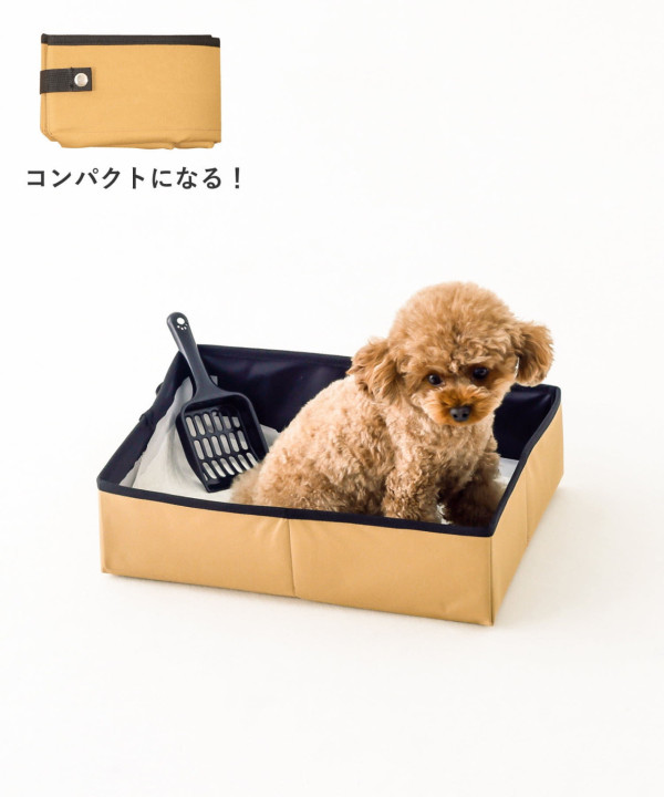 日本3COINS寵物防災用品9選!必買寵物頭盔/避難鞋全方位保護毛孩安全