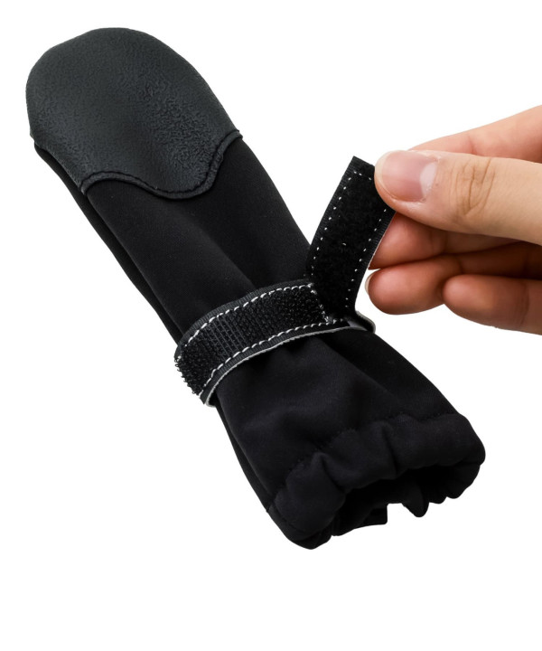 日本3COINS寵物防災用品9選!必買寵物頭盔/避難鞋全方位保護毛孩安全