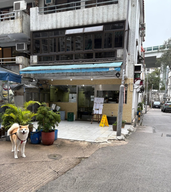 復活節香港迪士尼罕見冷清 旅客包場玩機動遊戲問:為何只有我一個?