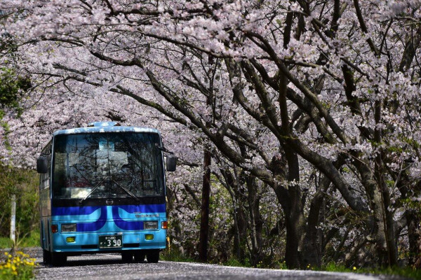 女木島(圖片來源:香川縣觀光協會) 女木島(圖片來源:香川縣觀光協會)