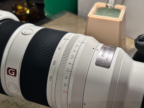 感受微距生態攝影魅力 實試Sony FE 100mm F2.8 Marco GM OSS 防震畫質大提升