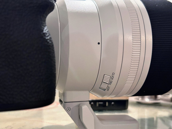 感受微距生態攝影魅力 實試Sony FE 100mm F2.8 Marco GM OSS 防震畫質大提升