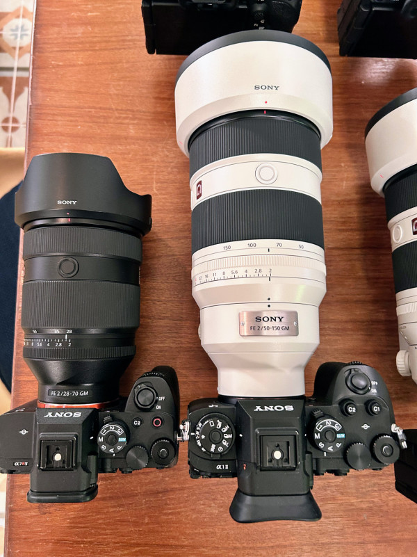 感受微距生態攝影魅力 實試Sony FE 100mm F2.8 Marco GM OSS 防震畫質大提升