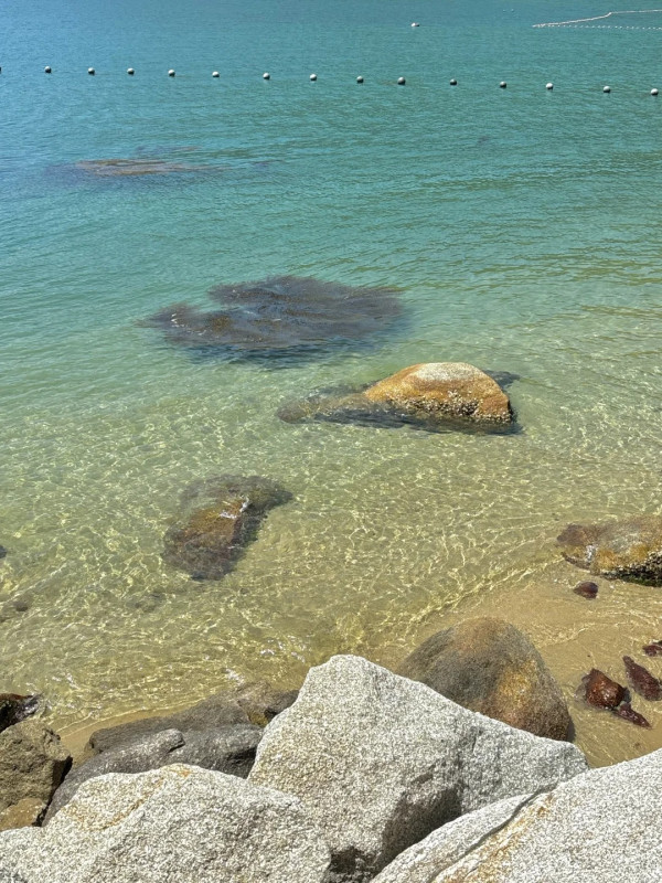 深圳懸崖海景隱世Cafe！望清澈玻璃海歎咖啡忘卻煩囂 