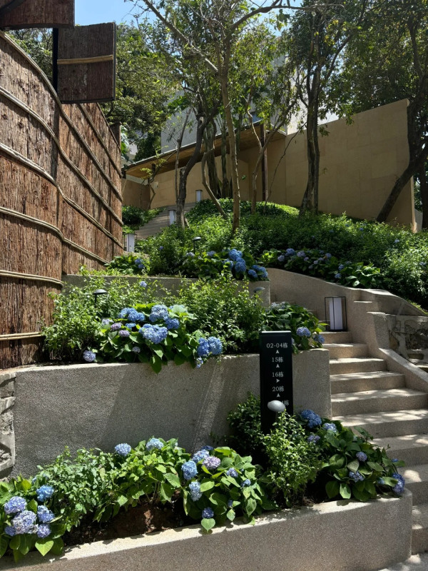 深圳無敵玻璃海度假酒店!懸崖禮堂、無邊際泳池!SPA、遊艇體驗、牛扒鵝肝餐廳