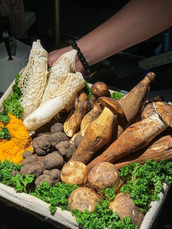 內地養生野菌火鍋「蘑界」香港首店！必試石鍋土雞湯底／名貴雲南鮮菇菌