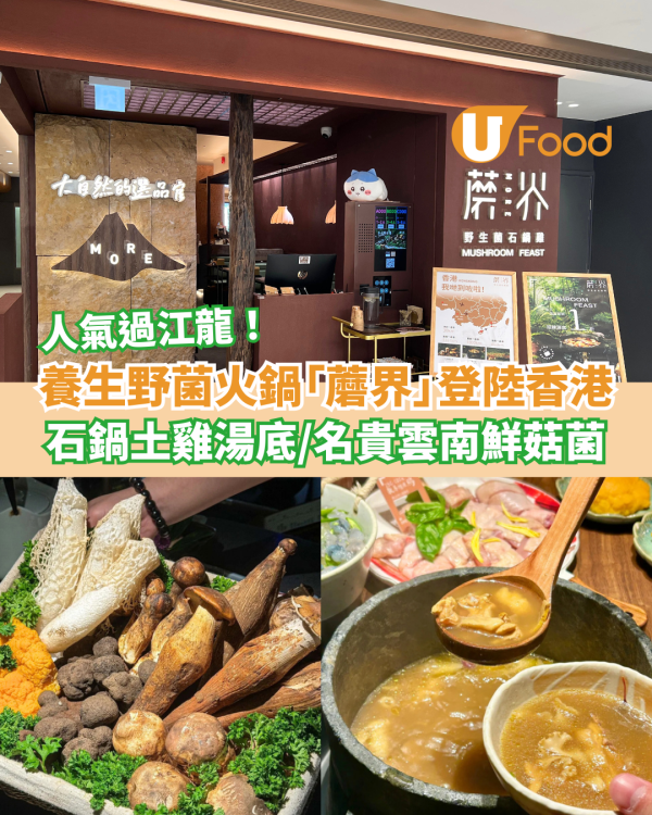 內地養生野菌火鍋「蘑界」香港首店！必試石鍋土雞湯底／名貴雲南鮮菇菌