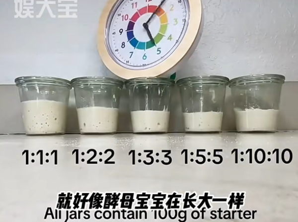 白色「毒魔」成內地最紅寵物 每日單靠2物養活！成新一代解壓神器 