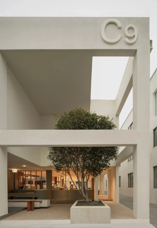 廣州cafe推介 Co-Tree（圖片來源：小紅書@Co-Tree Coffee）