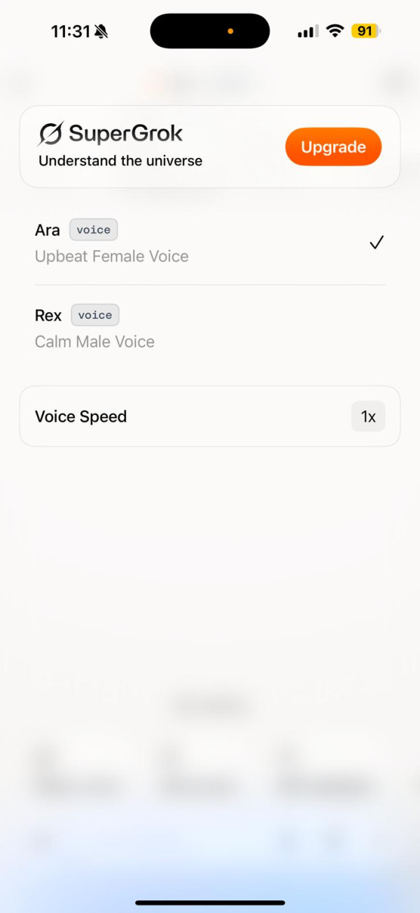 Grok 升級實試｜新增 Grok Vision 及 Grok Voice 手機鏡頭一掃即時語音解說 探索世界更輕鬆有趣