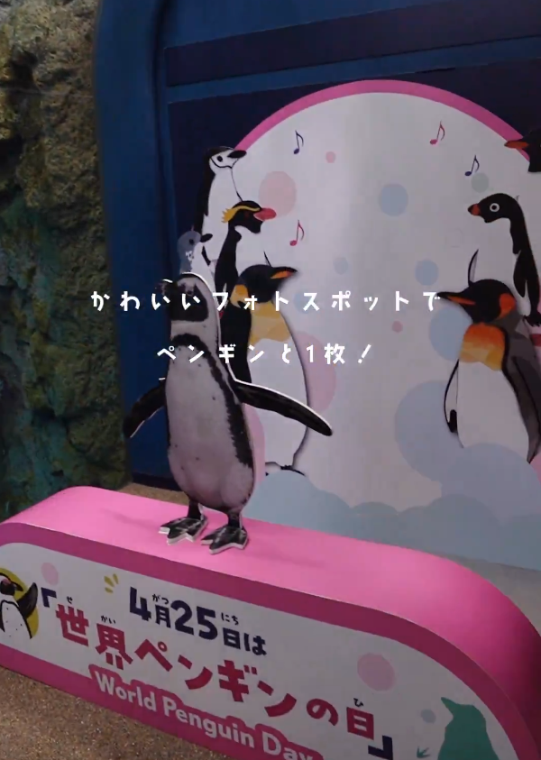 世界企鵝日｜日本水族館企鵝主題活動合集！池袋陽光水族館/名古屋港水族館/長崎企鵝水族館 