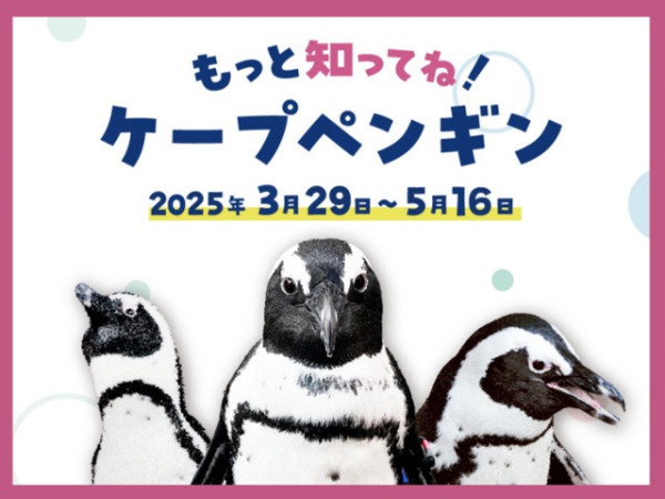 世界企鵝日｜日本水族館企鵝主題活動合集！池袋陽光水族館/名古屋港水族館/長崎企鵝水族館 
