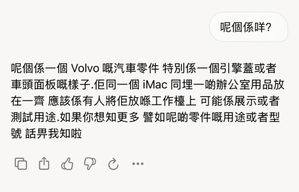 Grok 升級實試｜新增 Grok Vision 及 Grok Voice 手機鏡頭一掃即時語音解說 探索世界更輕鬆有趣
